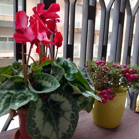 카타니아 La Valigia Sul Letto B&B 외부 사진