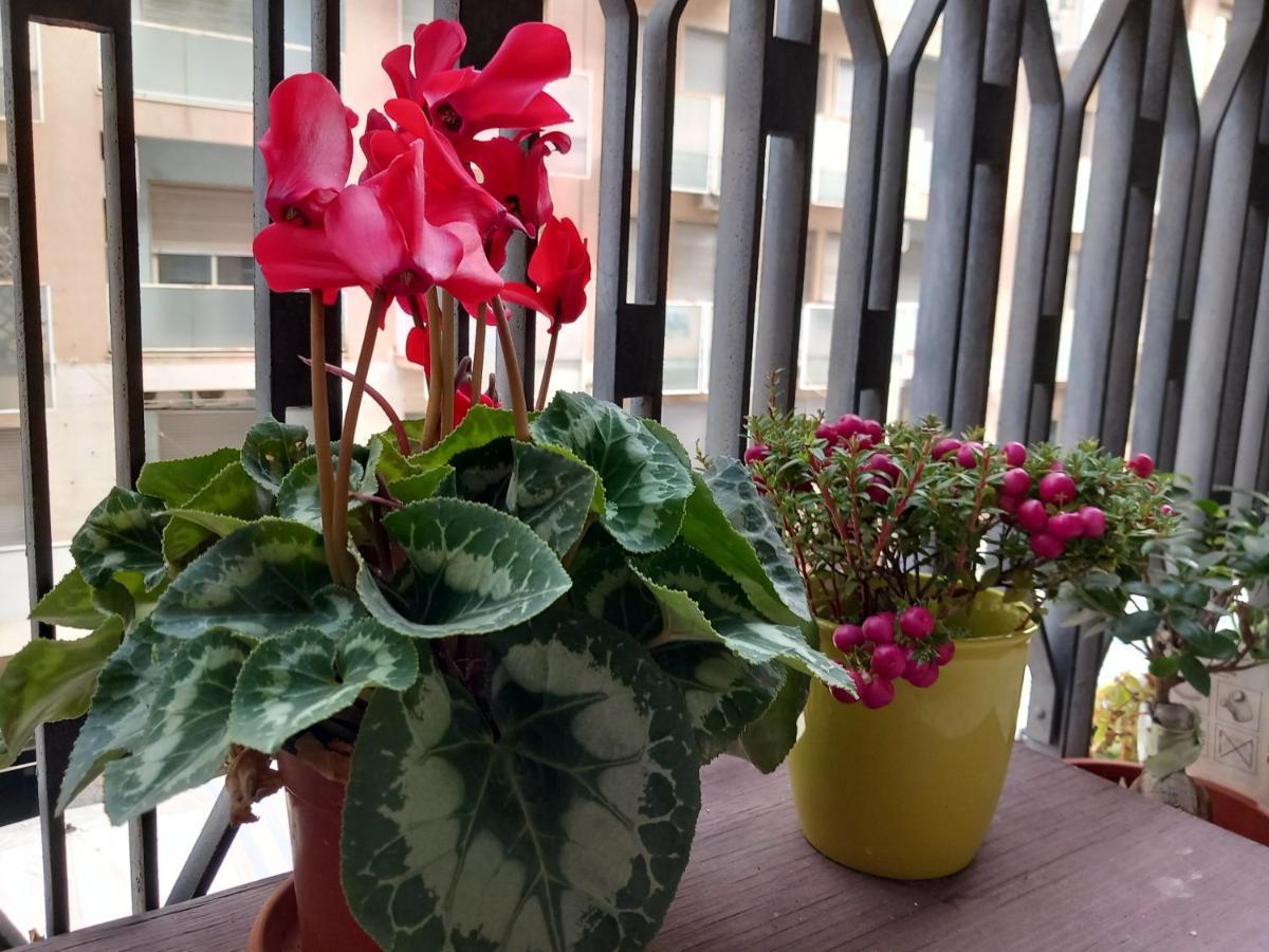 카타니아 La Valigia Sul Letto B&B 외부 사진